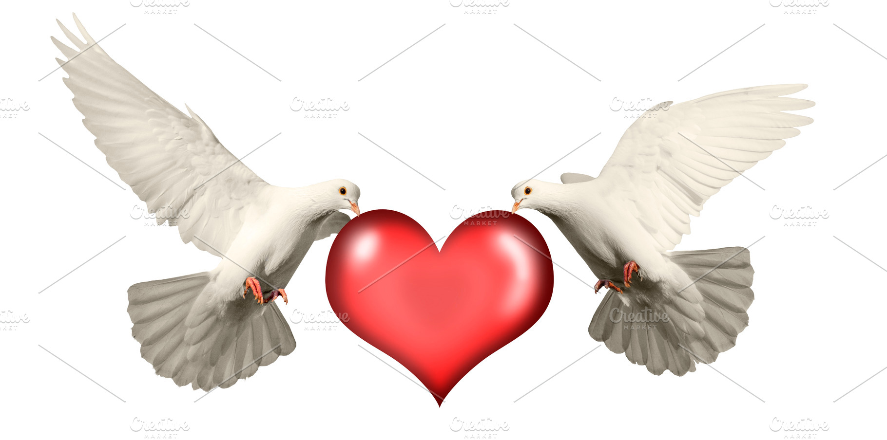 Love Card Two White Doves And A Animal Stock Photos Creative Market