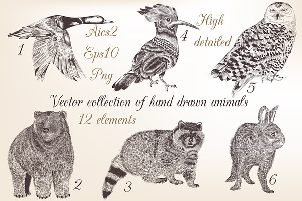 Bundle from vector engraved animals | Pre-Designed Illustrator Graphics