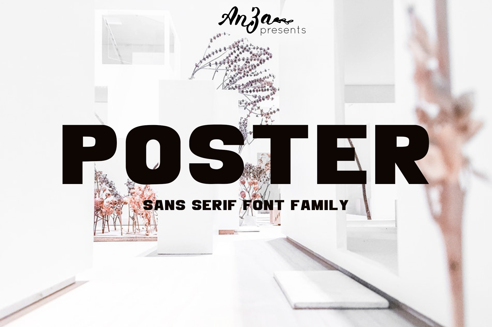 poster-sans-serif-font-family-sans-serif-fonts-creative-market