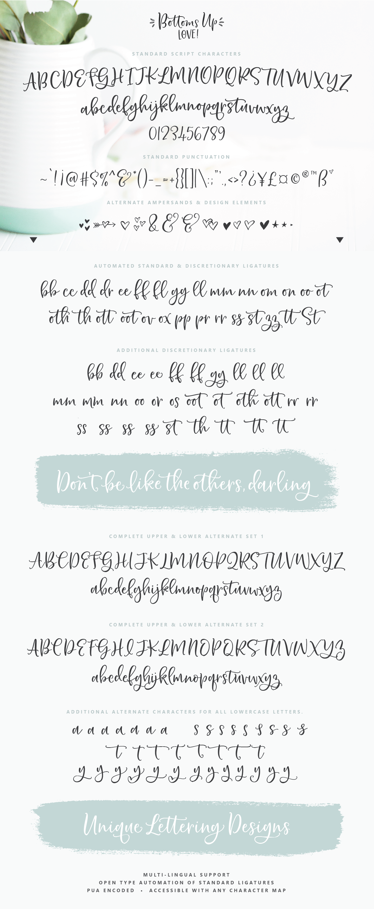 Bottoms Up Love Font Duo ♥ Extras | Script Fonts ~ Creative Market