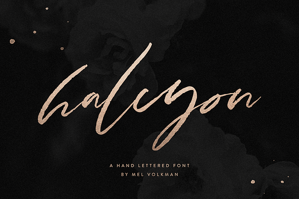 When Night Comes Font Collection | Stunning Script Fonts ~ Creative Market