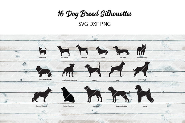 Download 16 Dog Breed Silhouettes | Pre-Designed Vector Graphics ...