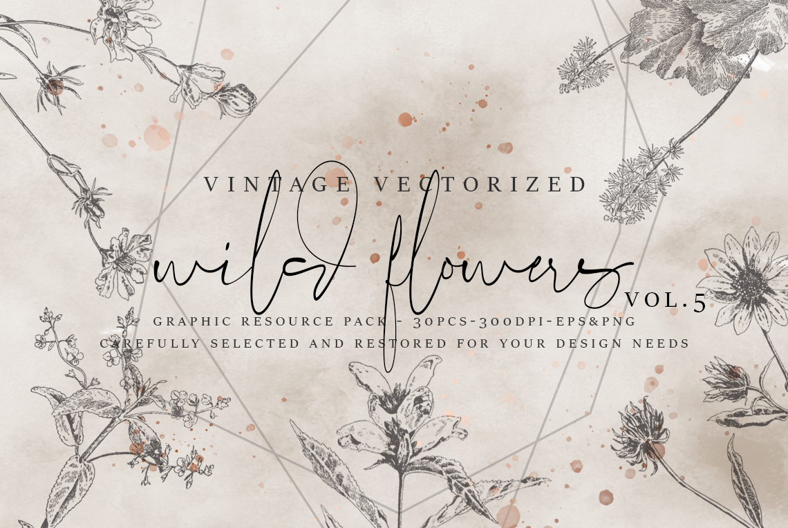 VintageVectorized-Wildflower Clipart | Illustrations ~ Creative Market