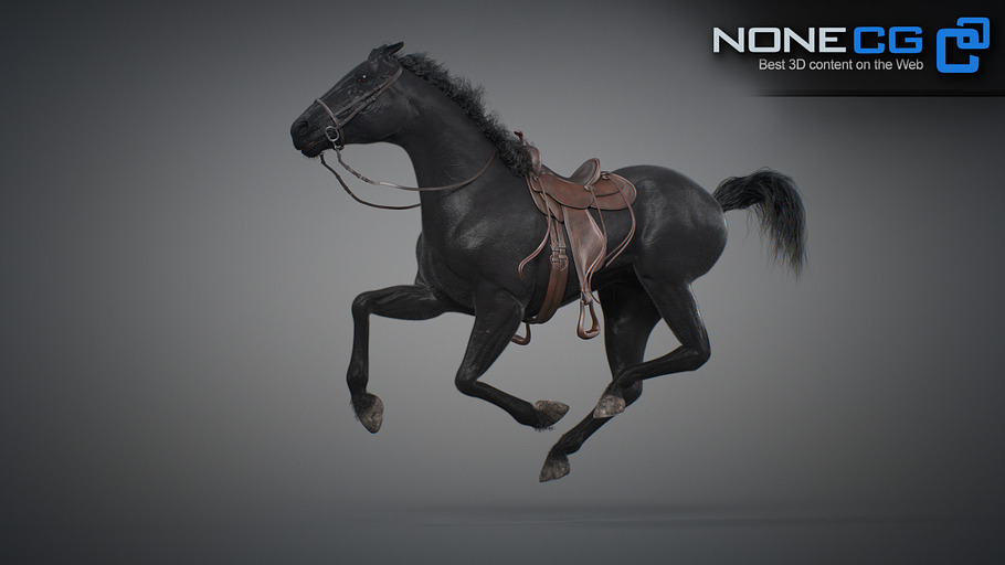 Animated Horses V3 High Quality Maya 3d Models Creative Market