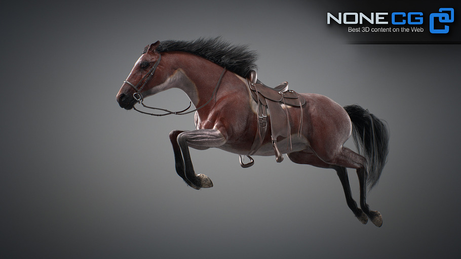 Animated Horses V3 High Quality Maya 3d Models Creative Market