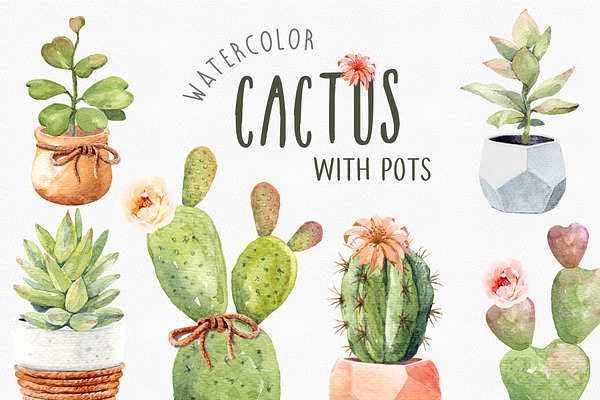 Download Search Watercolor Cactus Creative Market