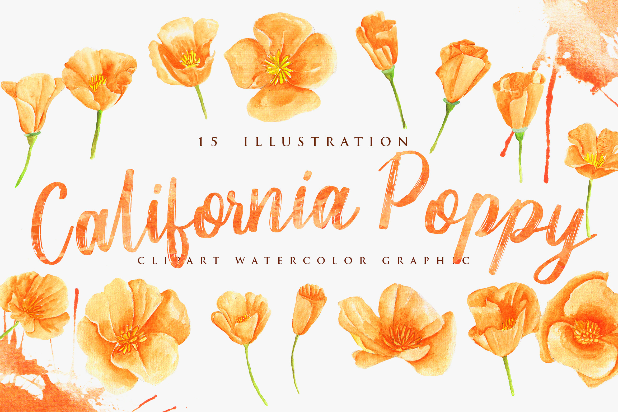 California Poppy Flower Watercolor | Graphic Objects ~ Creative Market