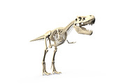 Tyrannosaurus Rex Cute Tyrannosaurus Rex Tyrannosaurus Rex Skeleton Cute  Tyrannosaurus Skeleton PNG , Tiranossauro Rex, Lindo Tiranossauro Rex, Tiranossauro  Rex Esqueleto Imagem PNG e PSD Para Download Gratuito