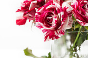 Tiger stripe roses containing anniversary, arrangement, and attractive