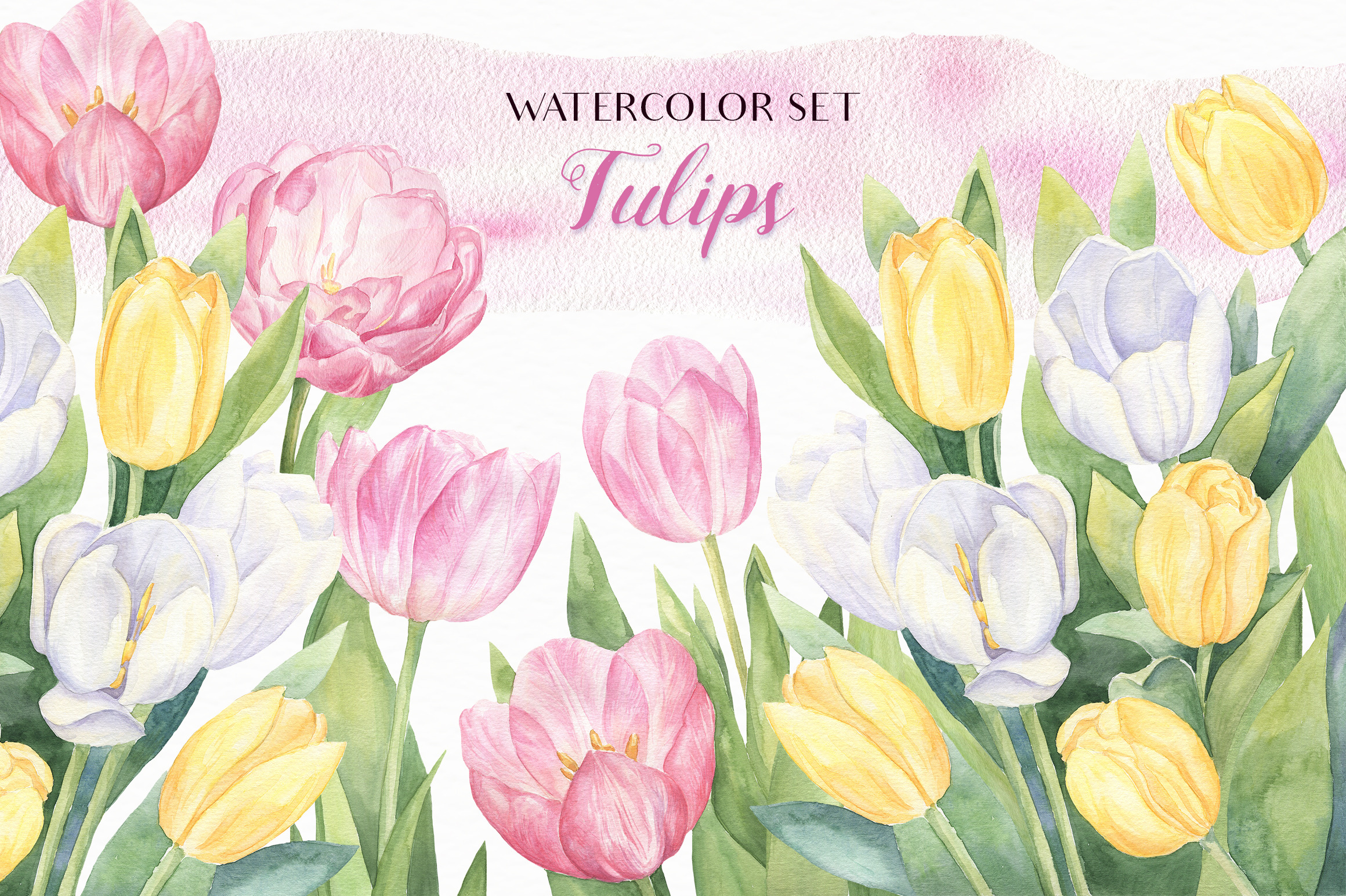 Watercolor Tulips | Pre-Designed Photoshop Graphics ~ Creative Market