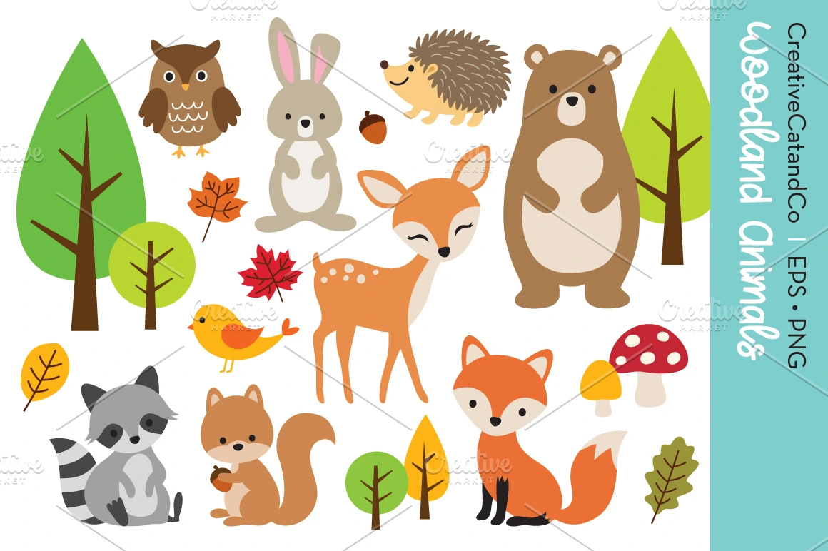 Woodland Animal Illustration Set | Animal Illustrations ~ Creative Market