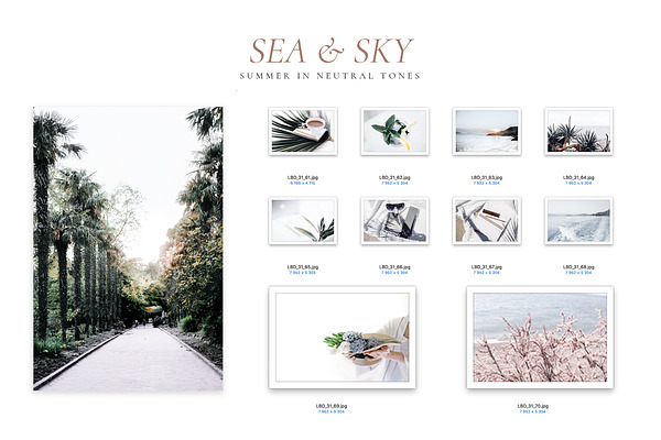 SEA & SKY in neutral tones | Creative Instagram Templates ~ Creative Market