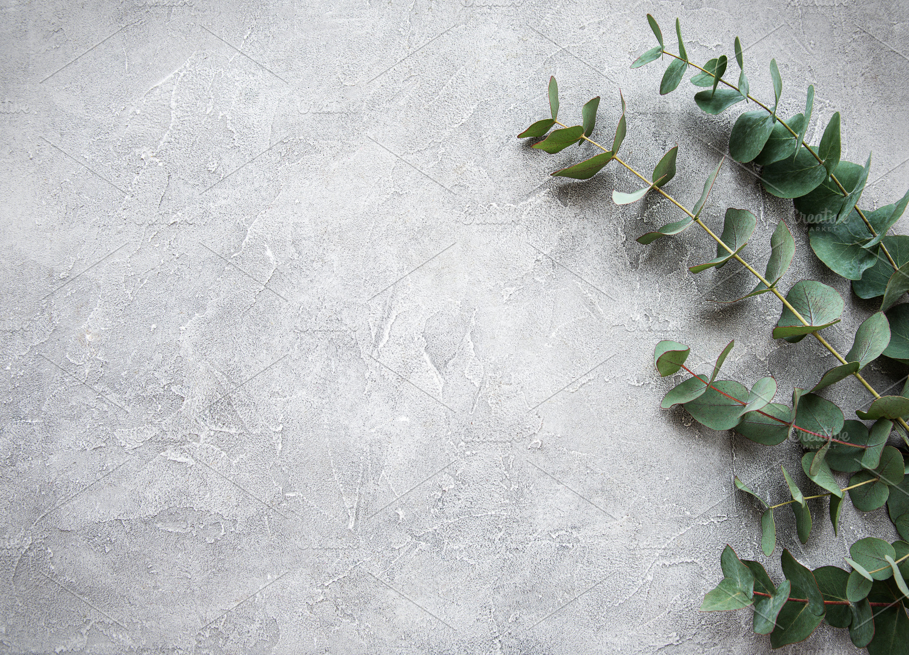 Eucalyptus branches on a concrete ba featuring eucalyptus, background