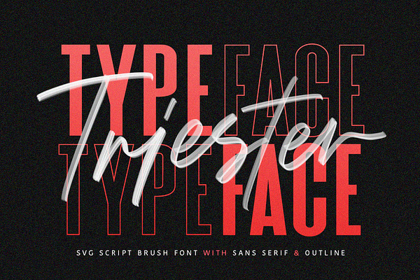 Triester Svg Brush Font Free Sans Stunning Script Fonts Creative Market