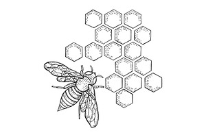 Hand-drawn bee and 2 patterns | Pre-Designed Photoshop Graphics