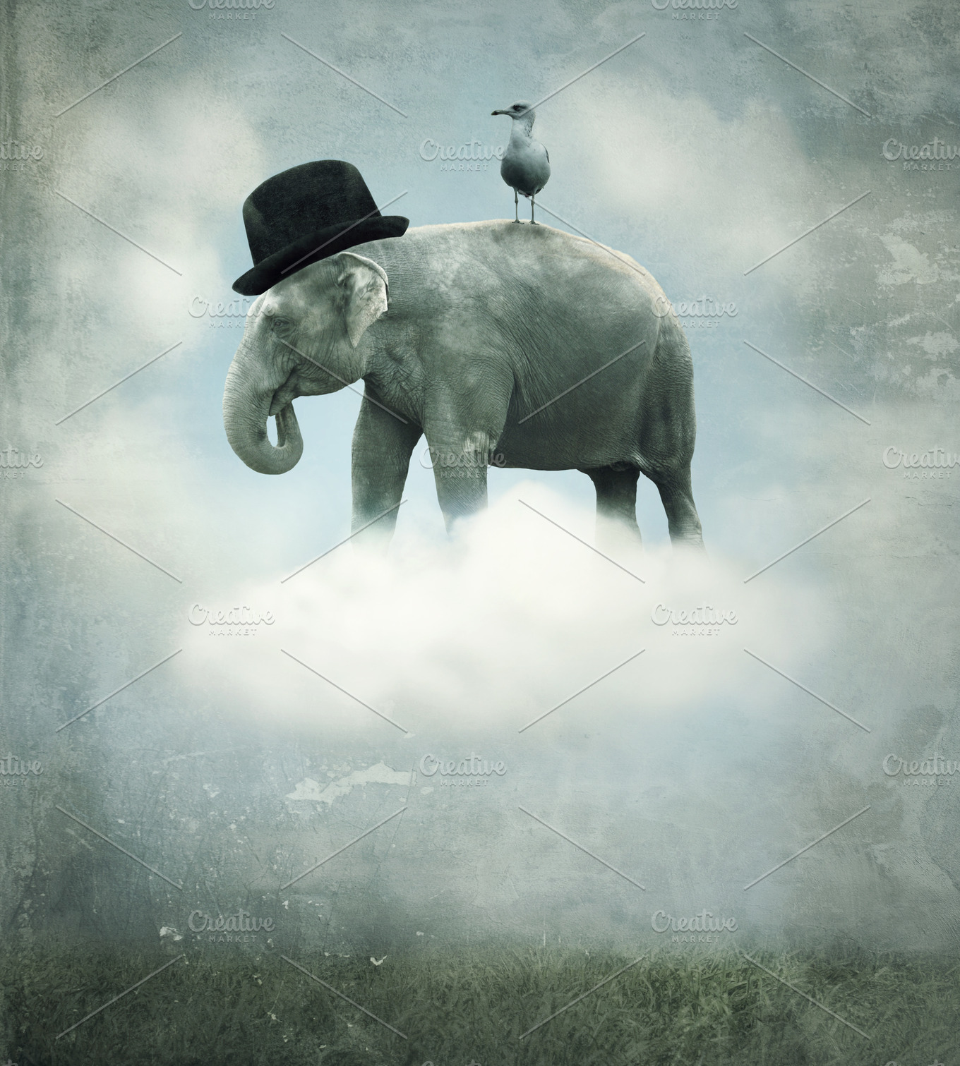 Elephant Flying | Animal Stock Photos ~ Creative Market