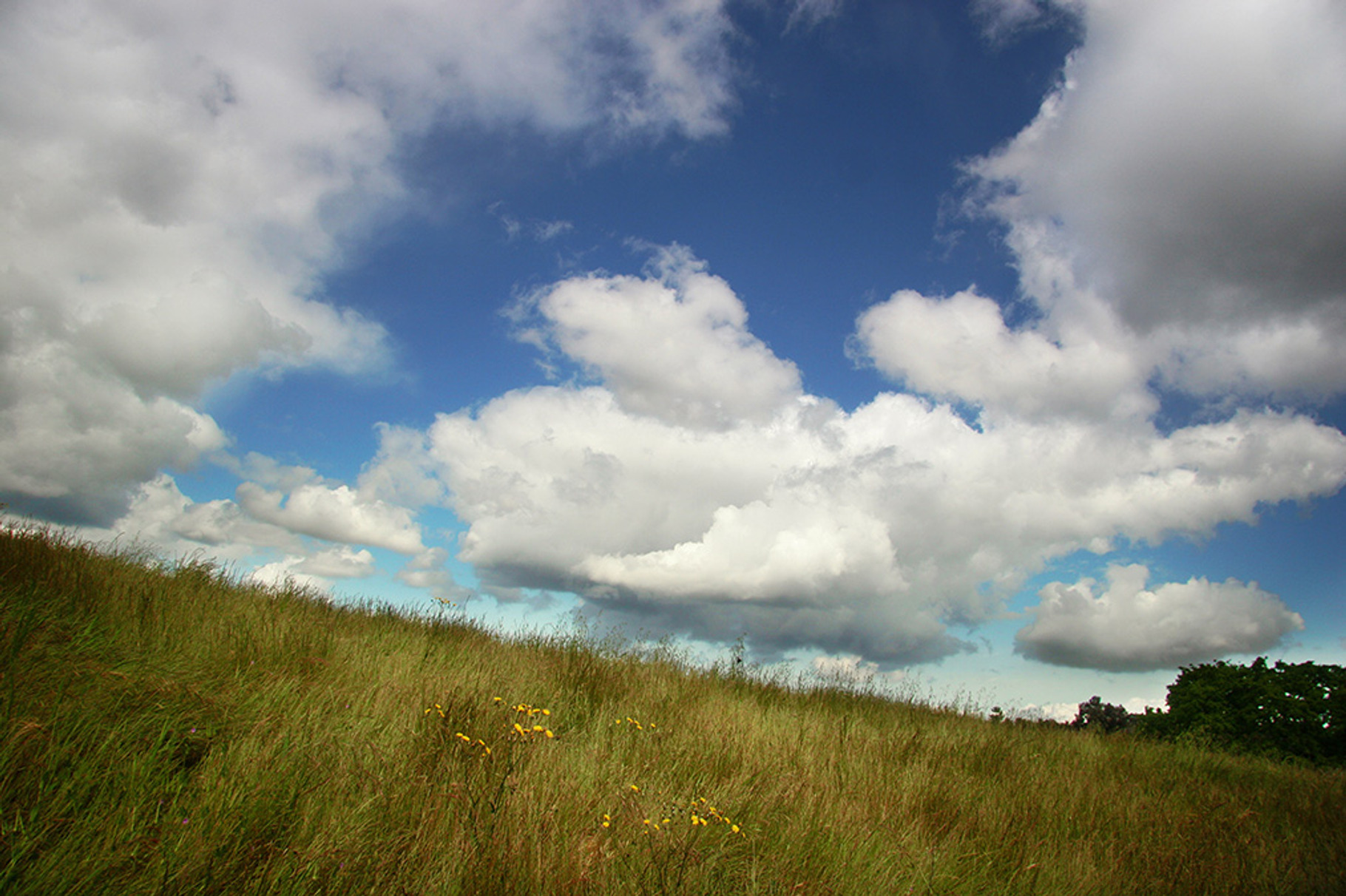 Clouds Over Grass (Photo) | High-Quality Nature Stock Photos ~ Creative