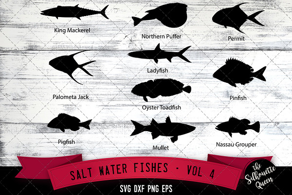 Download Salt Water Fishes Svg V2 Bonefish Pre Designed Illustrator Graphics Creative Market