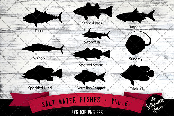 Download Salt Water Fishes Svg V5 Redfish Pre Designed Illustrator Graphics Creative Market