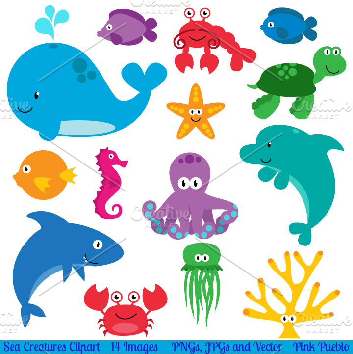 Sea Animals Vectors and Clipart | Animal Illustrations ~ Creative Market