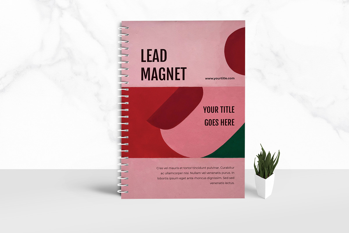 Lead magnet