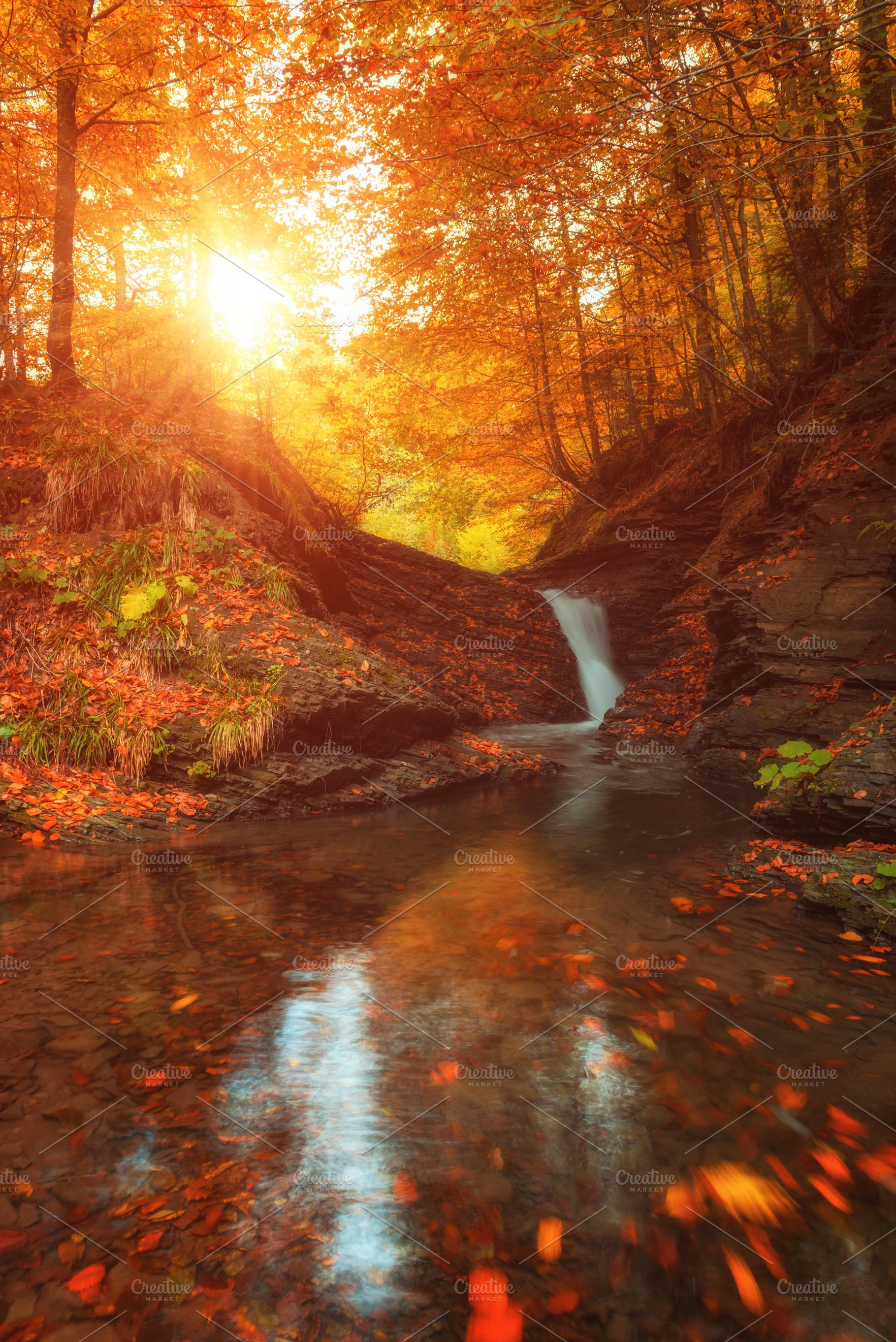 Amazing Nature Autumn Landscape With Featuring Autumn Forest And Creek High Quality Nature Stock Photos Creative Market