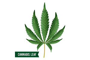 Download Cannabis Leaf Svg Pre Designed Illustrator Graphics Creative Market