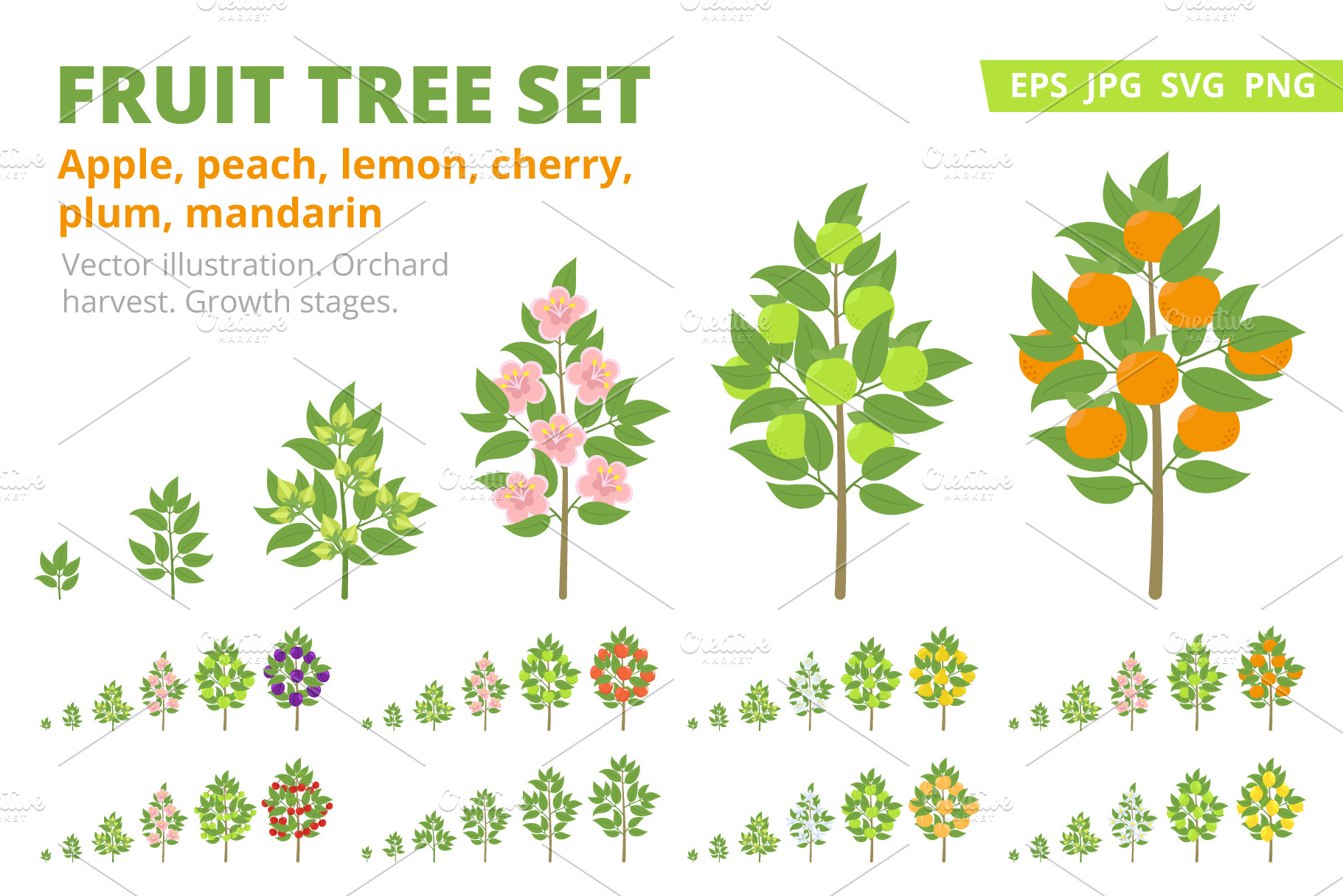 Download Fruit Tree Set Orchard Pre Designed Photoshop Graphics Creative Market