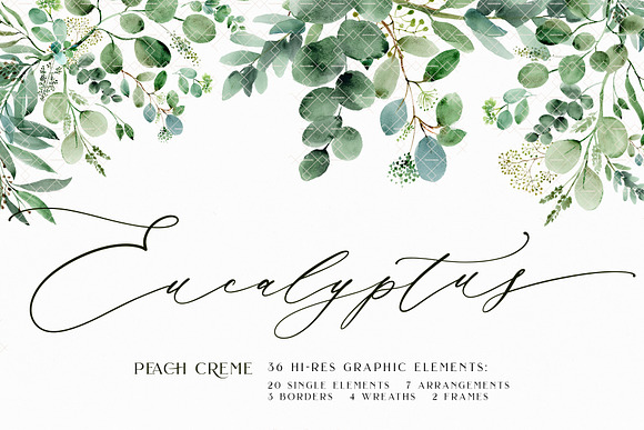 Download Eucalyptus Watercolor Set Pre Designed Photoshop Graphics Creative Market