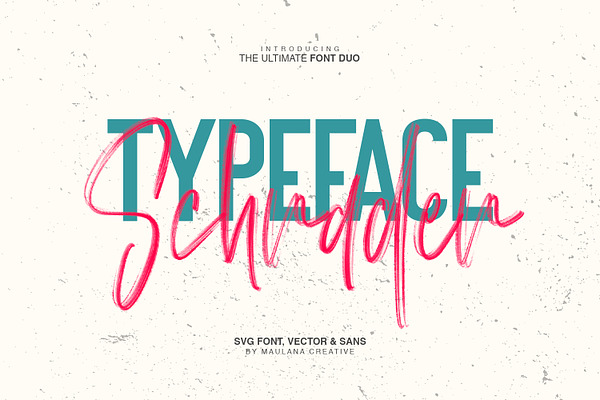 Schrader Svg Brush Font Free Sans Stunning Script Fonts Creative Market