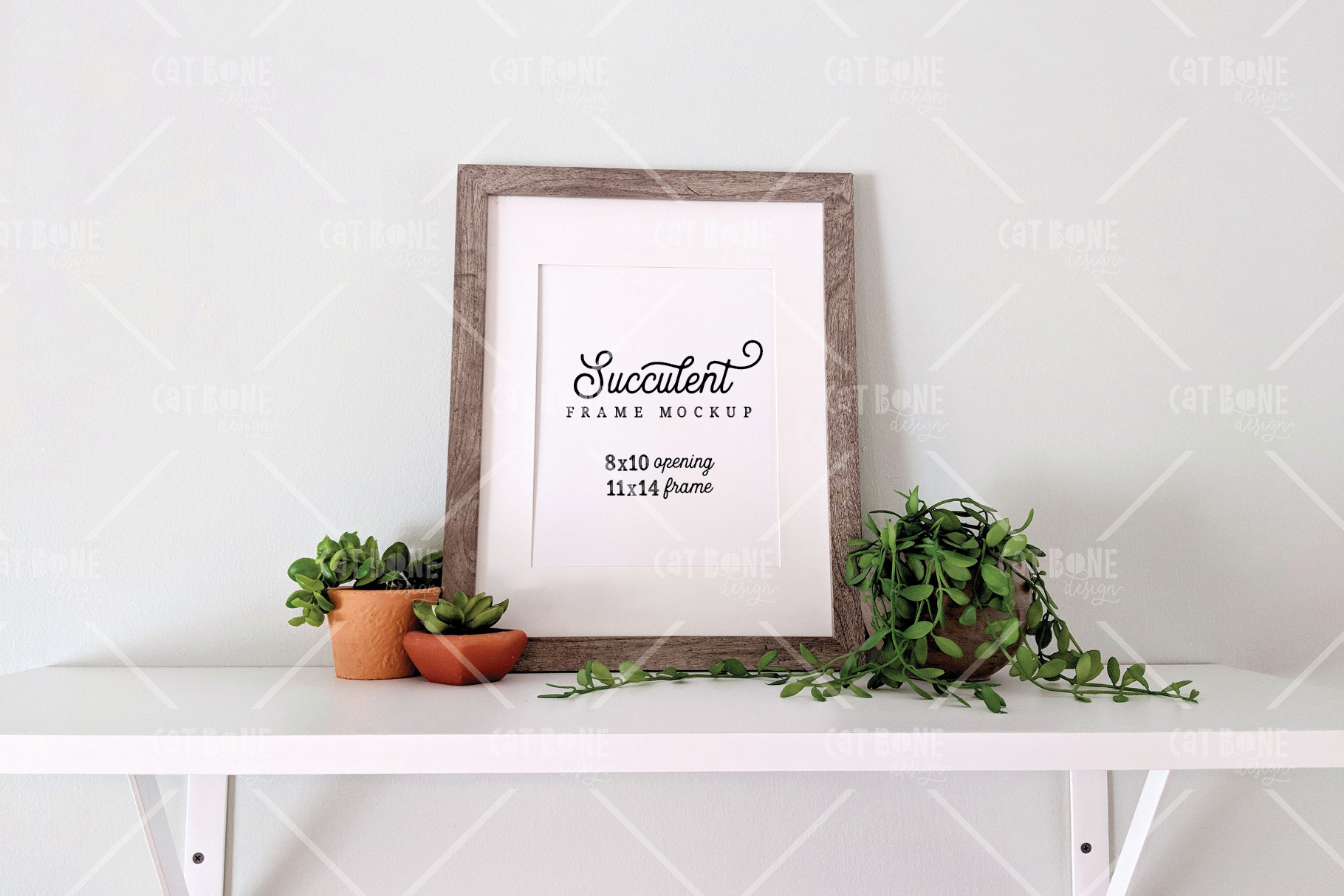 Download Succulent Frame Mockup 2 Creative Illustrator Templates Creative Market