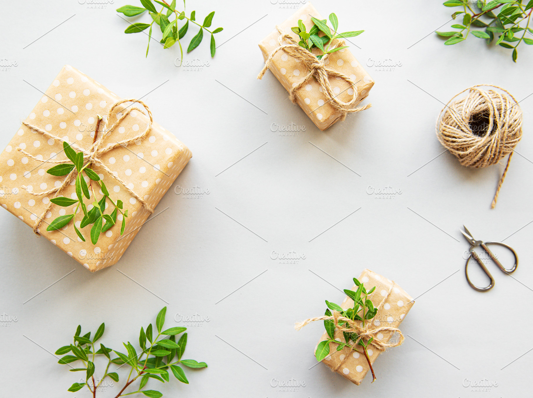 Craft boxes and green branches featuring flat lay, leaf, and green ...