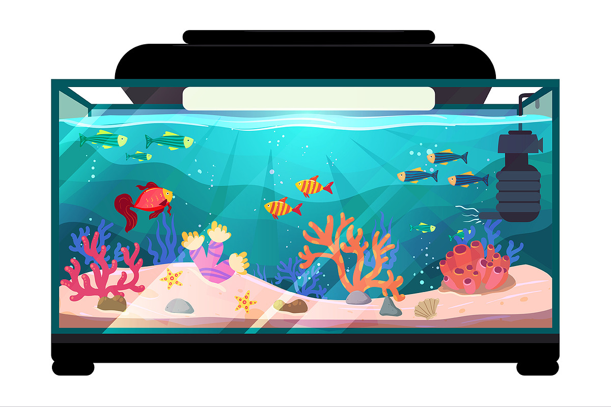 Aquarium illustration | Pre-Designed Photoshop Graphics ~ Creative Market