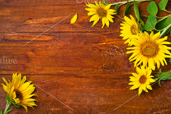 sunflower wooden background | High-Quality Food Images ~ Creative Market