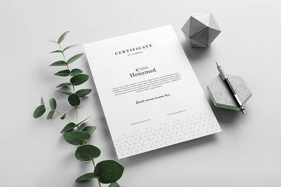 Download Hexamed Branding Mockup Creative Photoshop Templates Creative Market