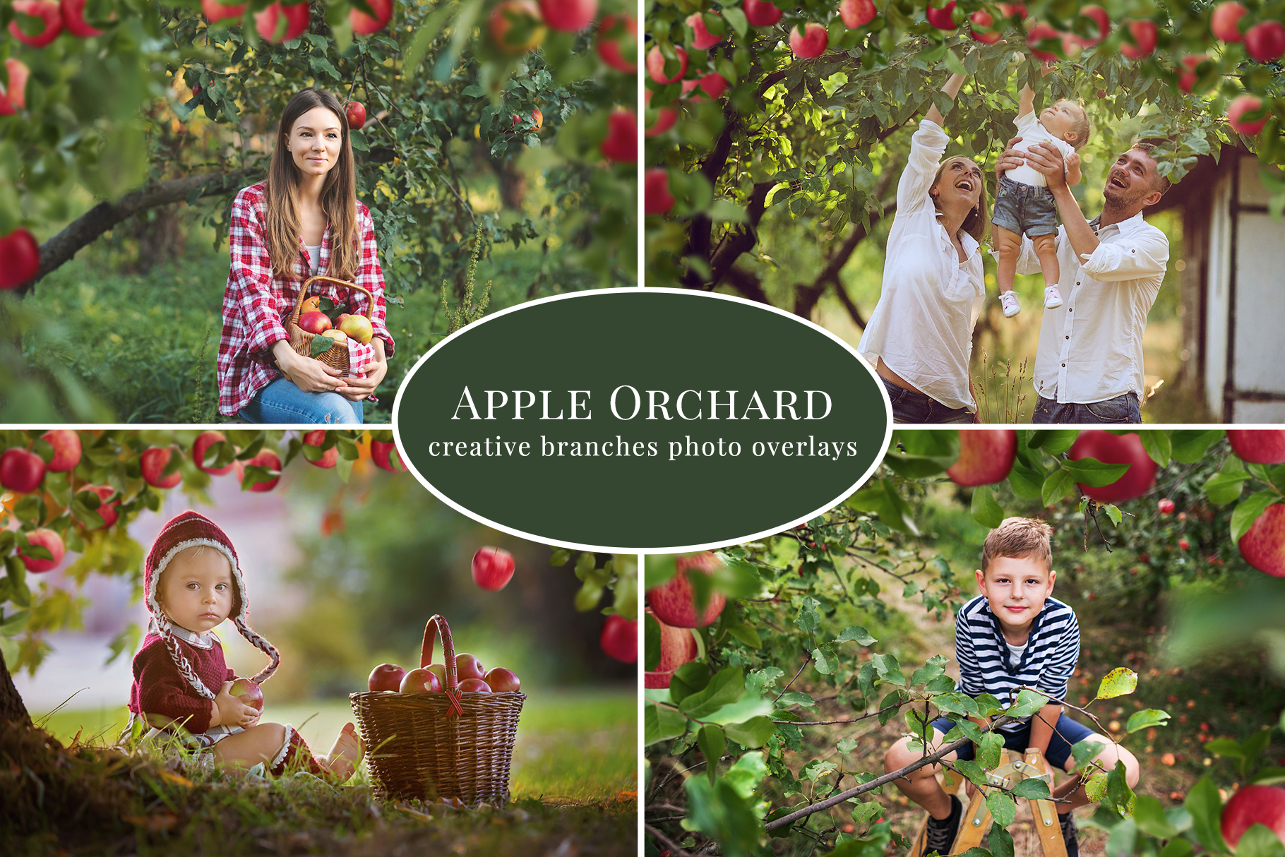 Apple Orchard photo overlays Layer Styles Creative Market