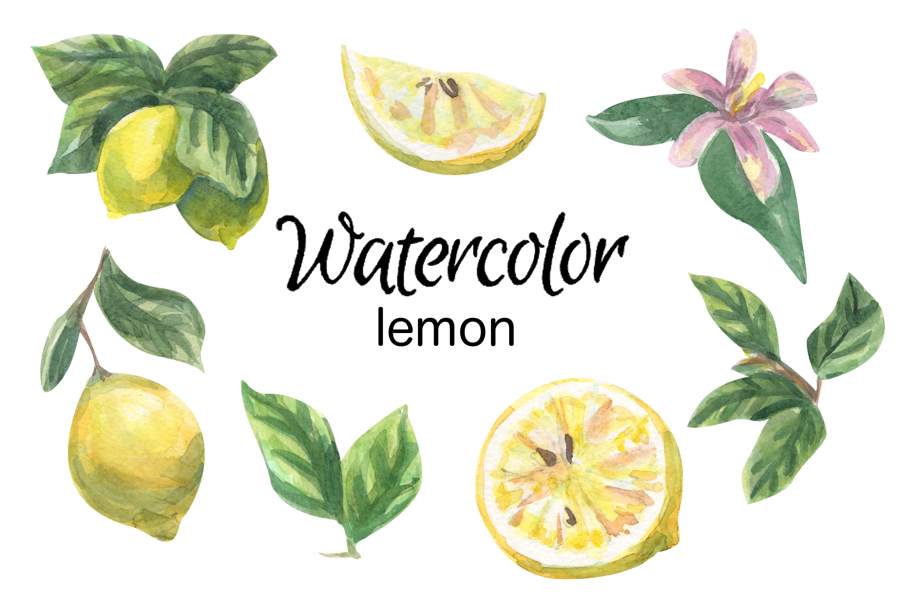 Lemon watercolor clip art | Background Graphics ~ Creative Market