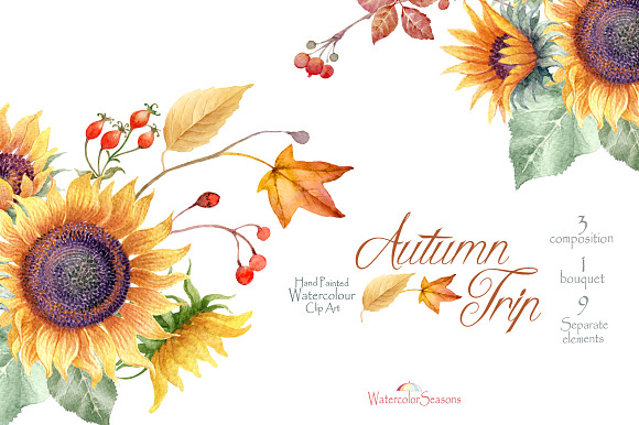 red sunflowers clipart