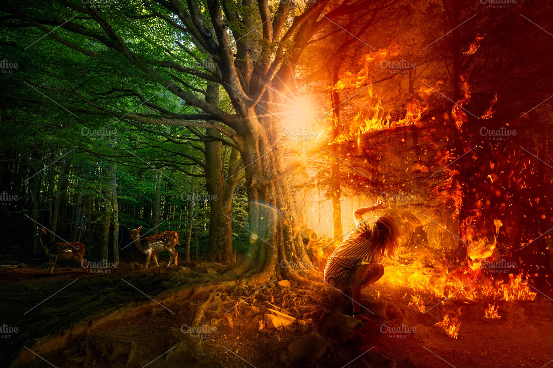 A whimsical portrayal of forest fires.