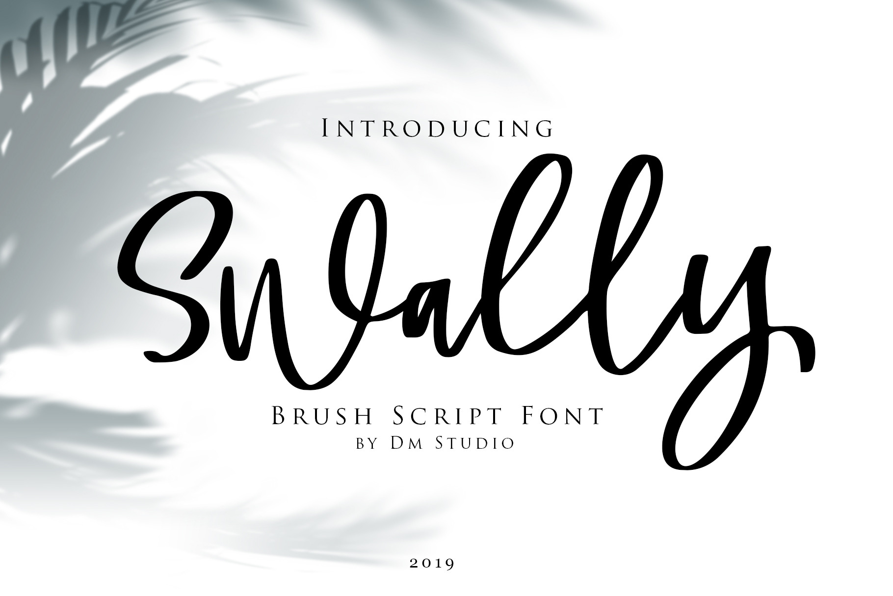 Swally - Brush Script Font | Script Fonts ~ Creative Market