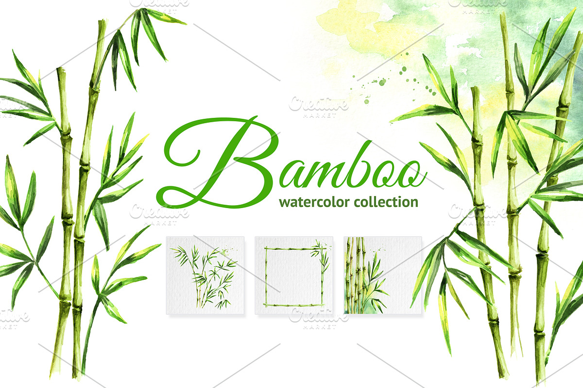 Bamboo. Watercolor collection | Pre-Designed Photoshop Graphics ...