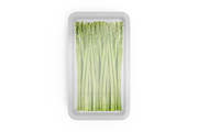 Download Plastic Tray With Asparagus Mockup Creative Photoshop Templates Creative Market Yellowimages Mockups