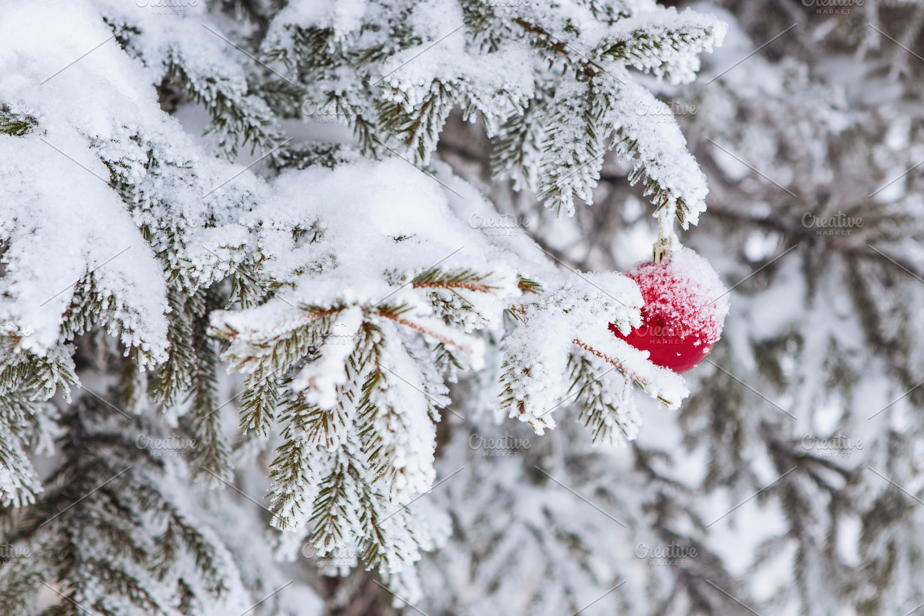 Christmas Tree In The Snow High Quality Holiday Stock Photos Creative Market