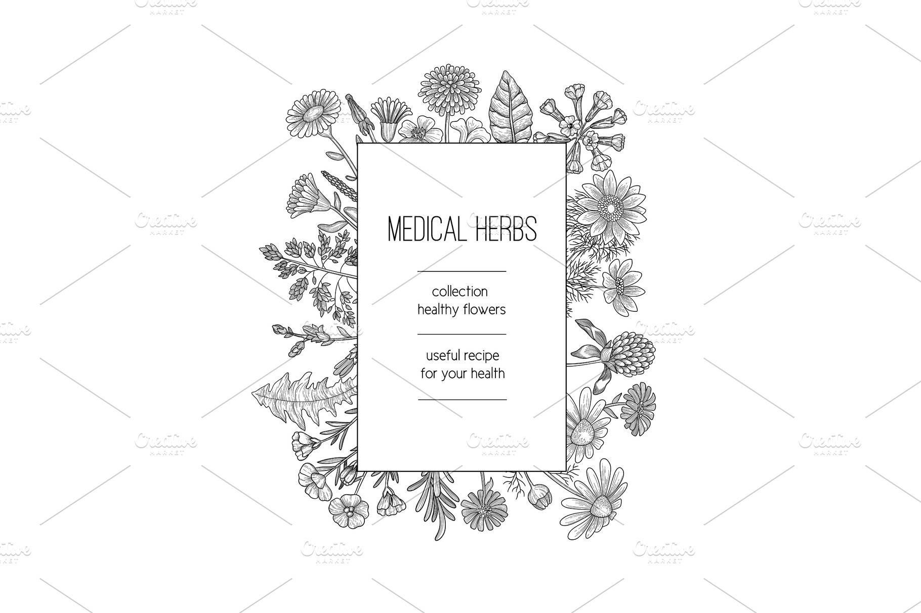 Herbs frame. Herbal background | Background Graphics ~ Creative Market