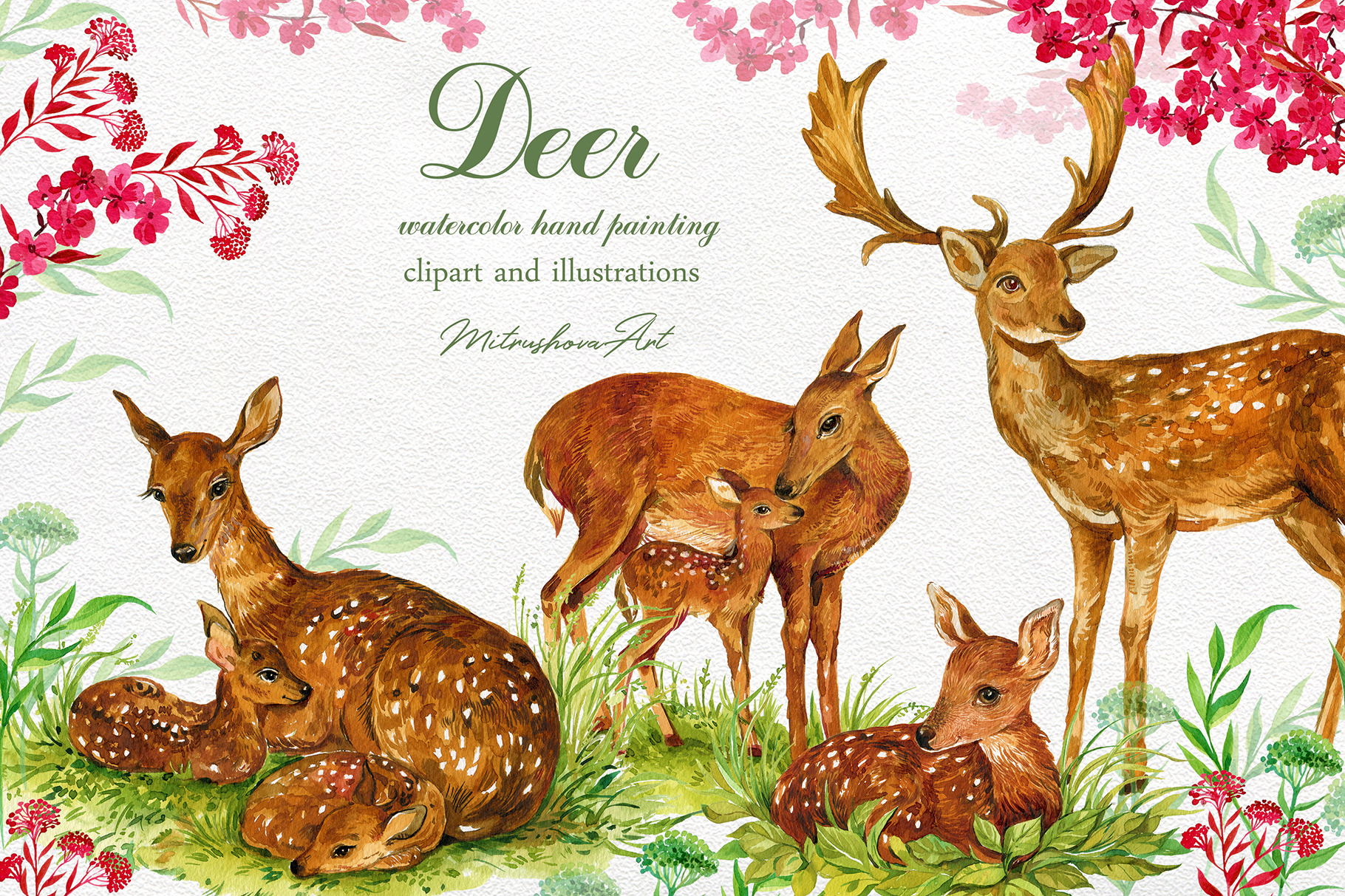 deer-watercolor-clipart-illustration-animal-illustrations-creative