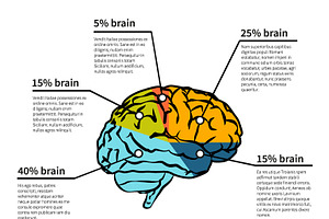 Brain potential infographic template | Pre-Designed Illustrator ...