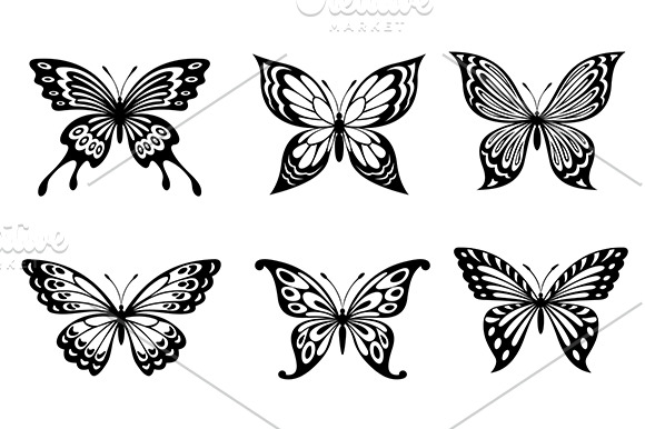 Beautiful butterflies | Graphics ~ Creative Market