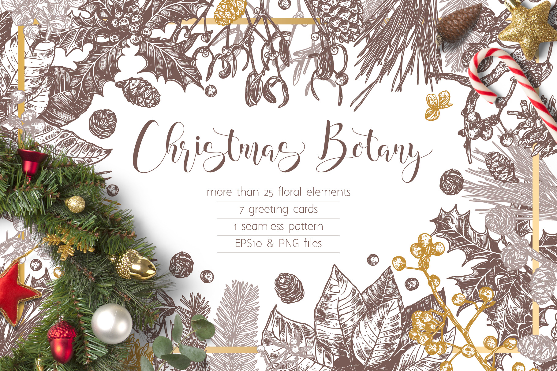 Christmas Botany  Decorative Illustrations ~ Creative Market