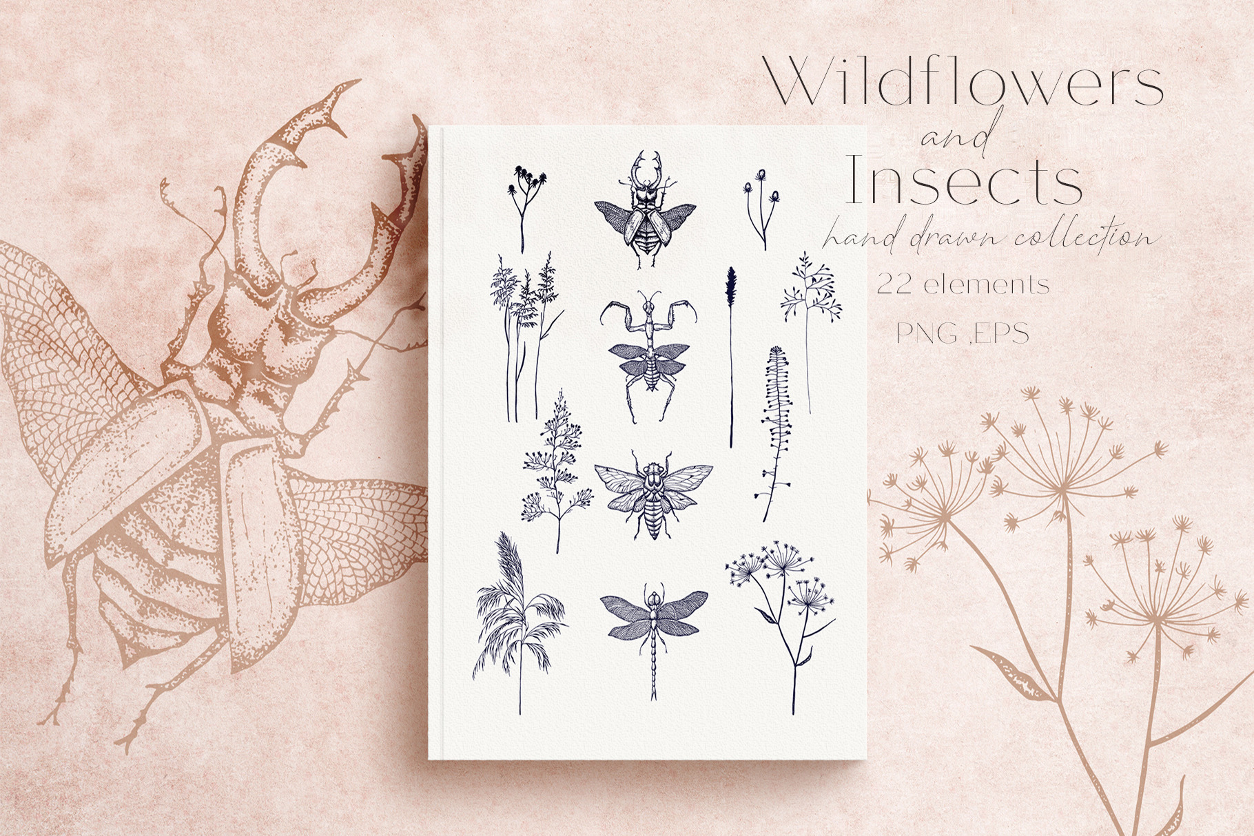 Wildflower and Insect collection | Photoshop Graphics ~ Creative Market