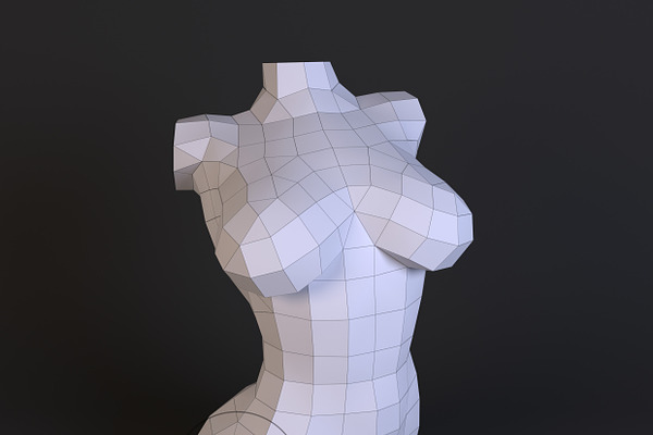 Diy Female Torso 3d Model Template Creative Templates ~ Creative Market